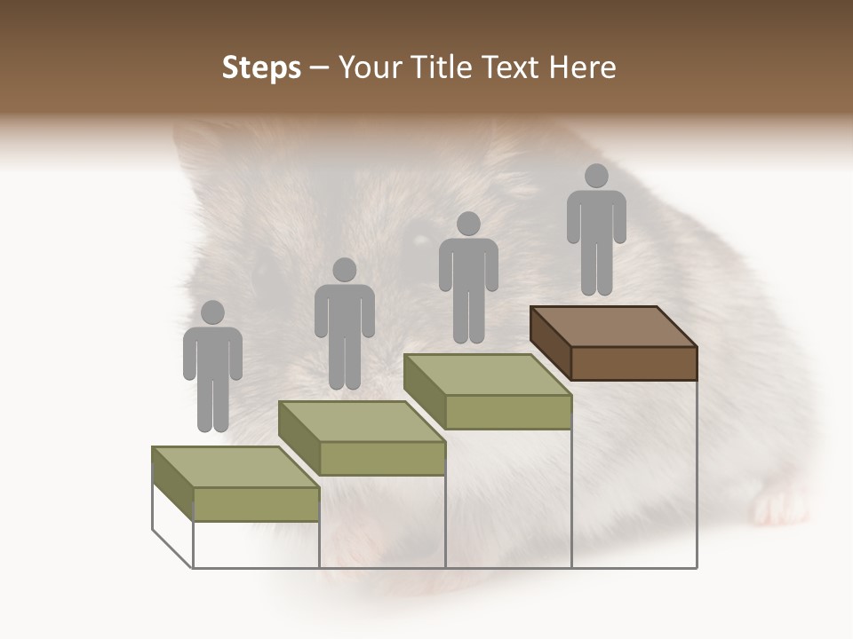 Phodopus Siberian Look PowerPoint Template