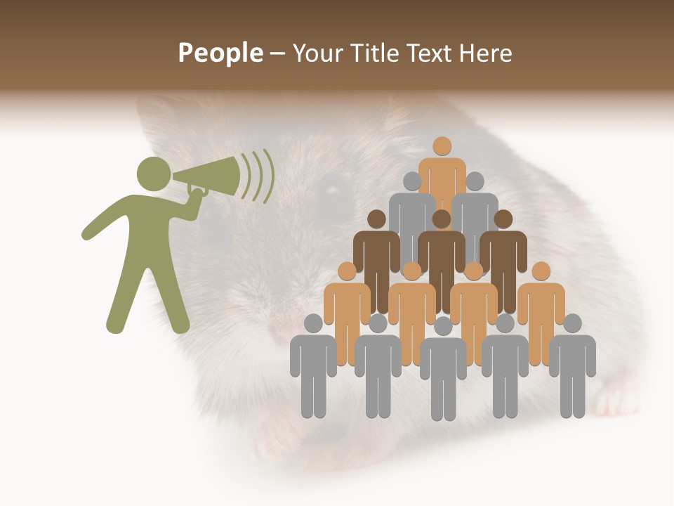 Phodopus Siberian Look PowerPoint Template