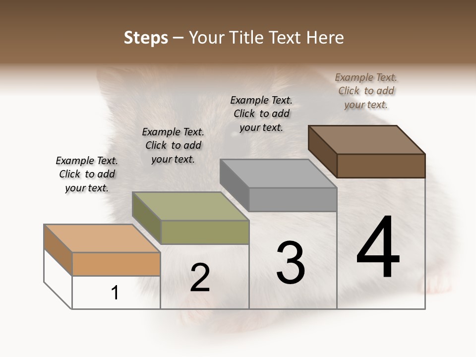 Phodopus Siberian Look PowerPoint Template