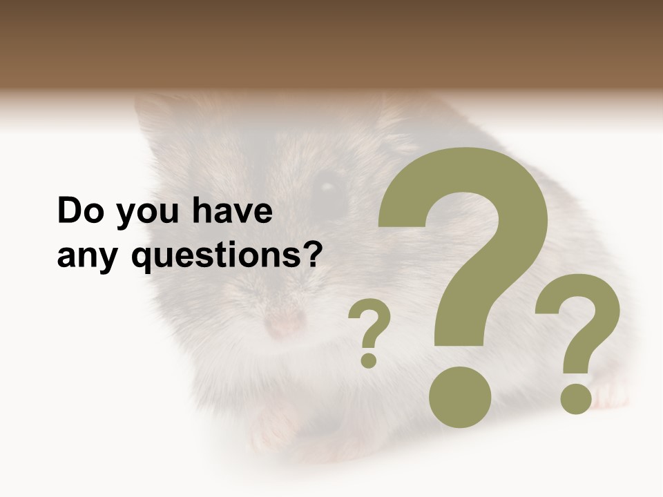 Phodopus Siberian Look PowerPoint Template