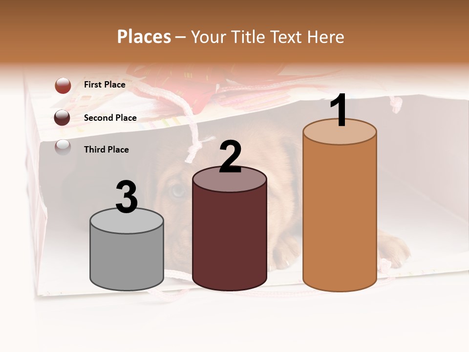 Bag Cute Canine PowerPoint Template