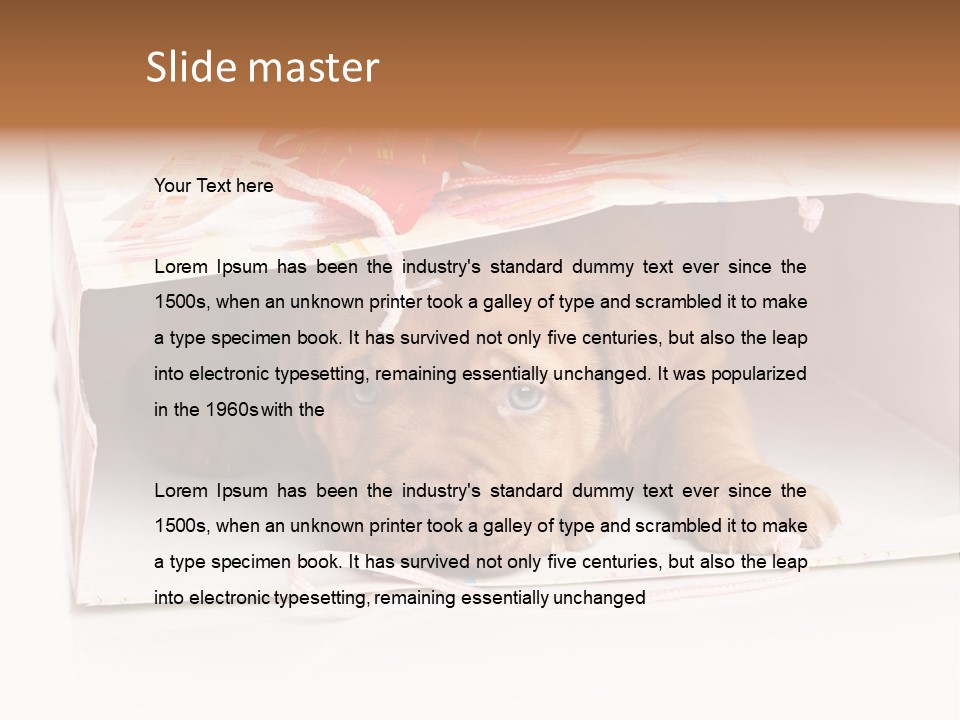 Bag Cute Canine PowerPoint Template