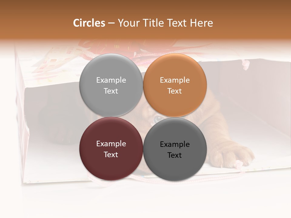 Bag Cute Canine PowerPoint Template