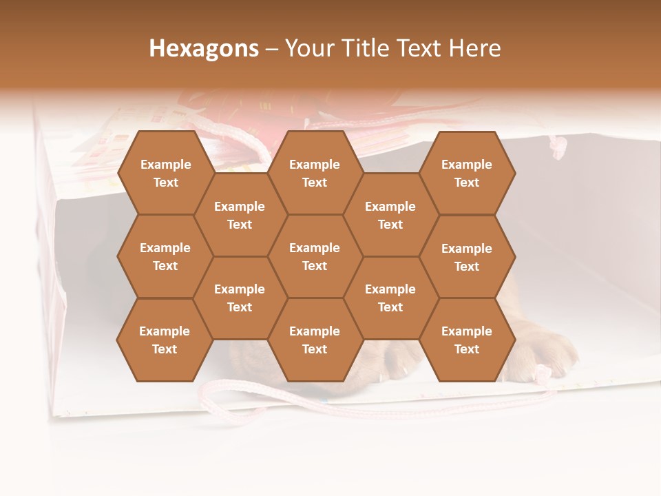 Bag Cute Canine PowerPoint Template