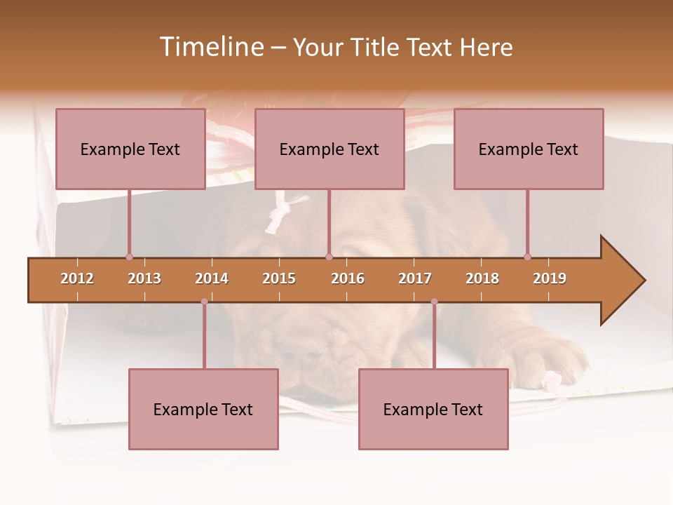 Bag Cute Canine PowerPoint Template