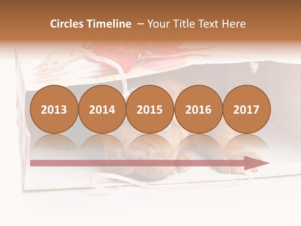 Bag Cute Canine PowerPoint Template