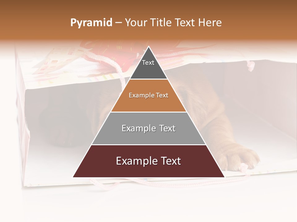 Bag Cute Canine PowerPoint Template