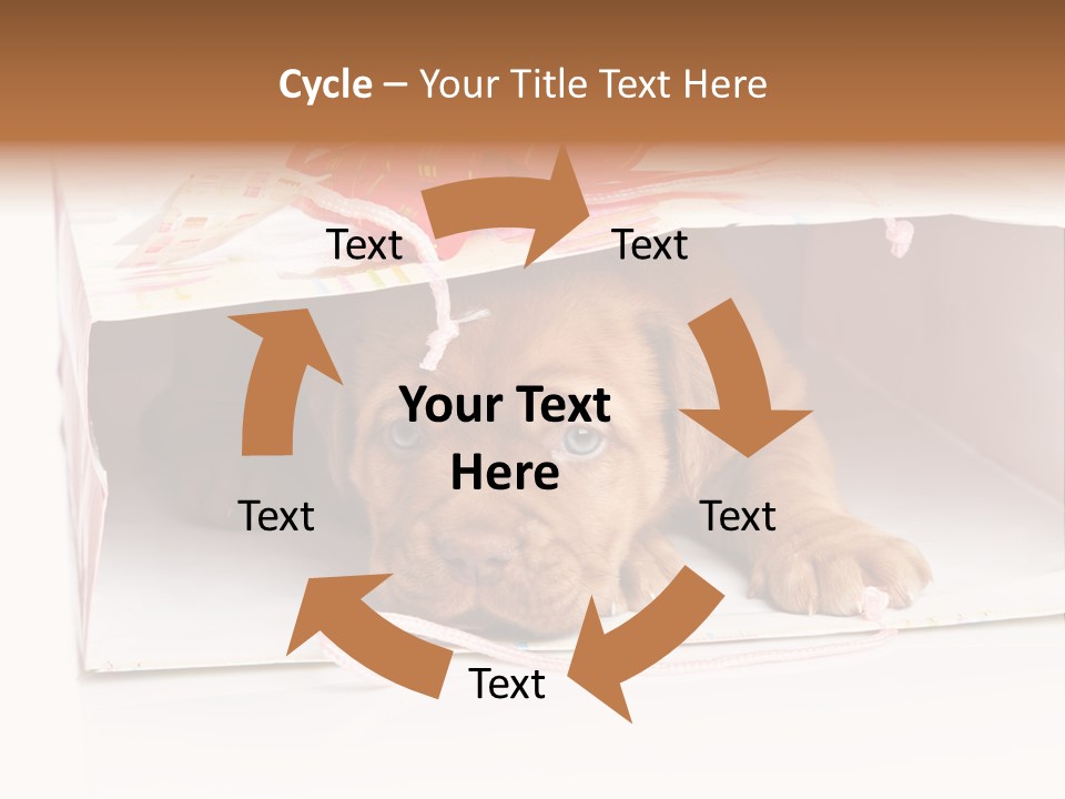 Bag Cute Canine PowerPoint Template