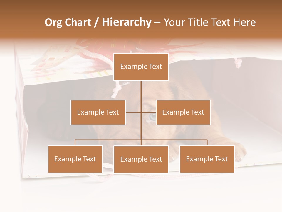 Bag Cute Canine PowerPoint Template