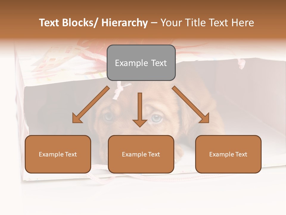 Bag Cute Canine PowerPoint Template