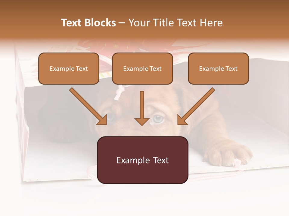 Bag Cute Canine PowerPoint Template