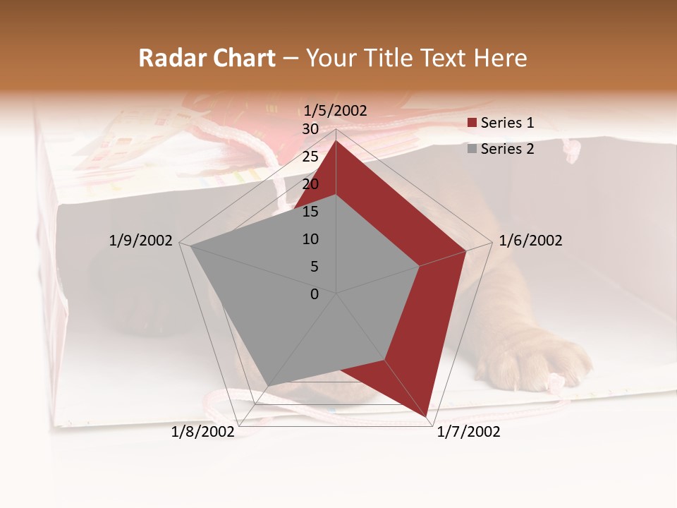 Bag Cute Canine PowerPoint Template