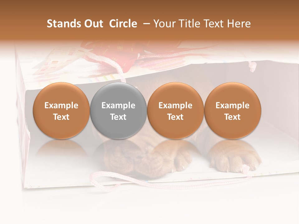 Bag Cute Canine PowerPoint Template