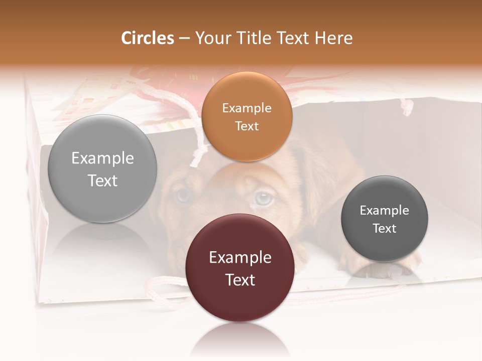 Bag Cute Canine PowerPoint Template