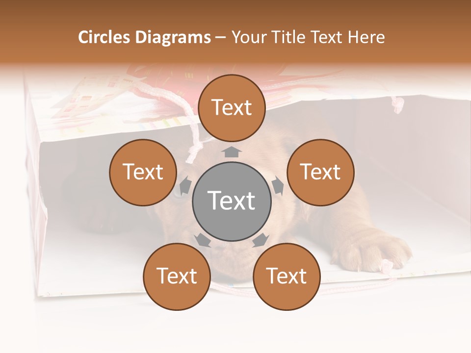 Bag Cute Canine PowerPoint Template