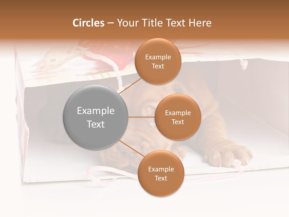 Bag Cute Canine PowerPoint Template