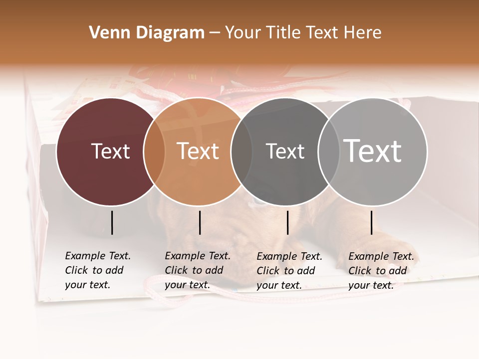 Bag Cute Canine PowerPoint Template