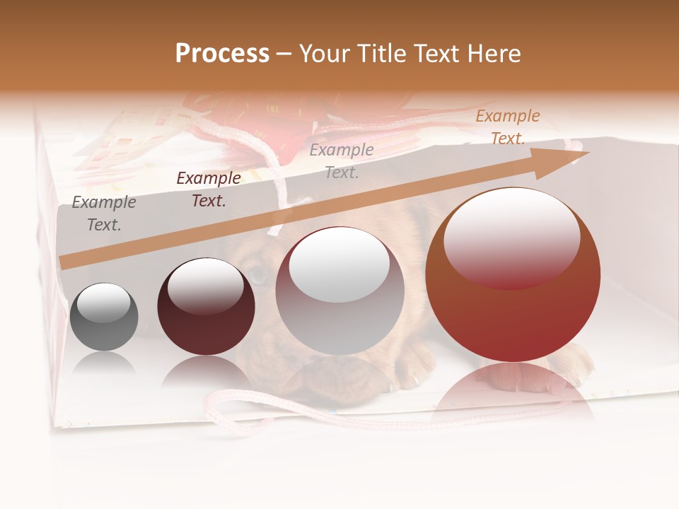 Bag Cute Canine PowerPoint Template