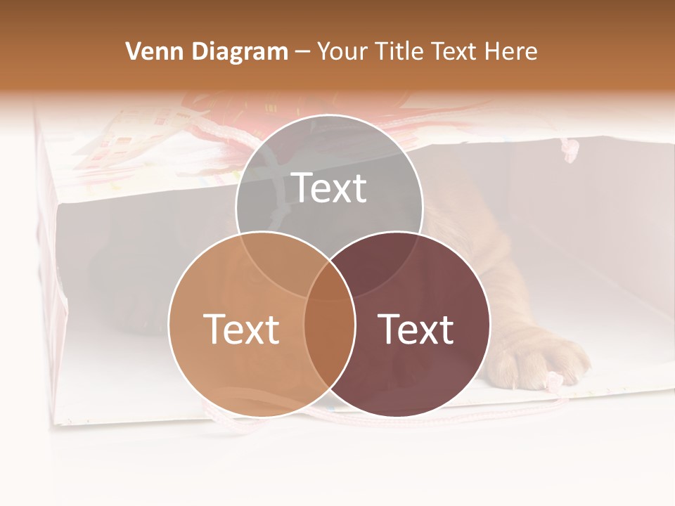 Bag Cute Canine PowerPoint Template