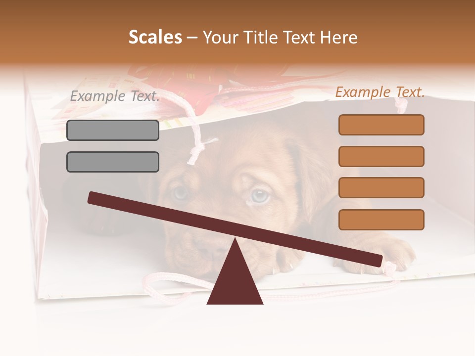 Bag Cute Canine PowerPoint Template