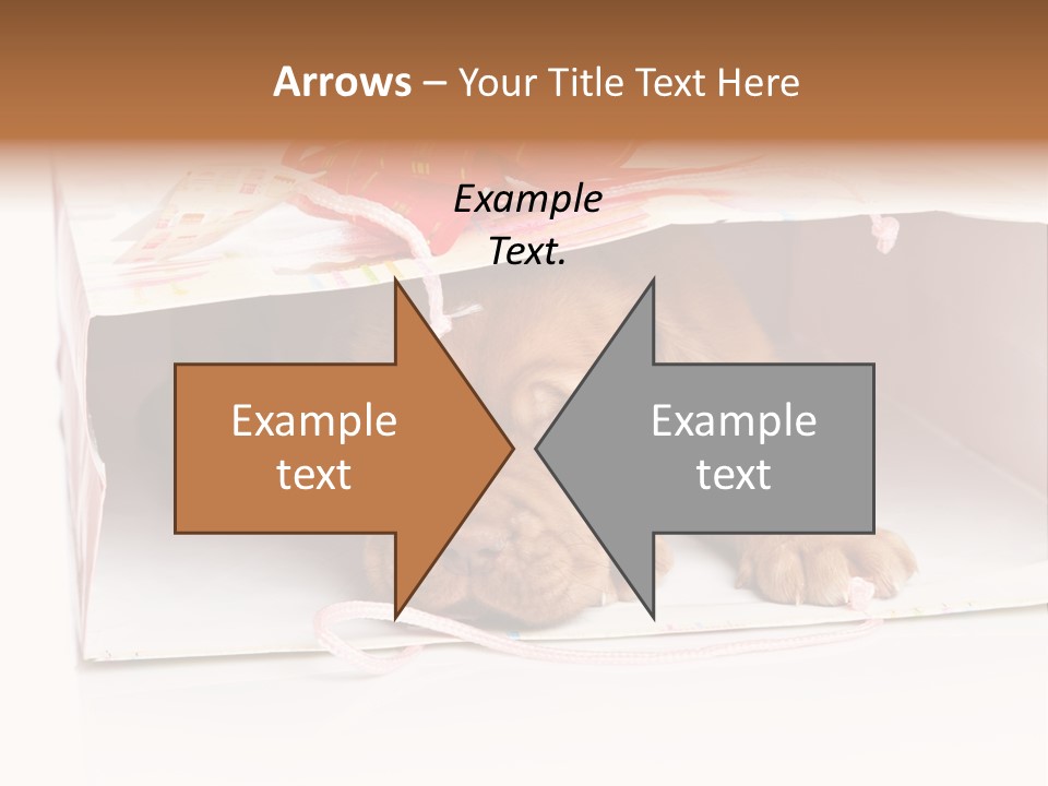 Bag Cute Canine PowerPoint Template