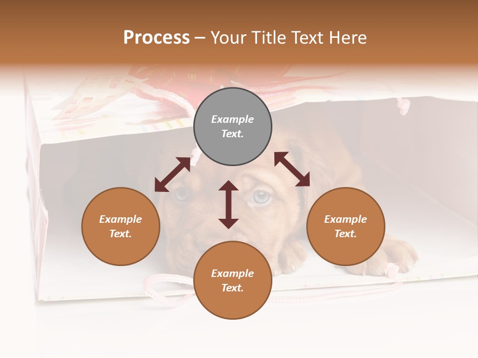 Bag Cute Canine PowerPoint Template