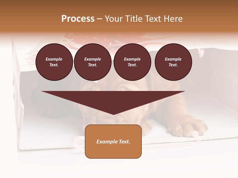 Bag Cute Canine PowerPoint Template