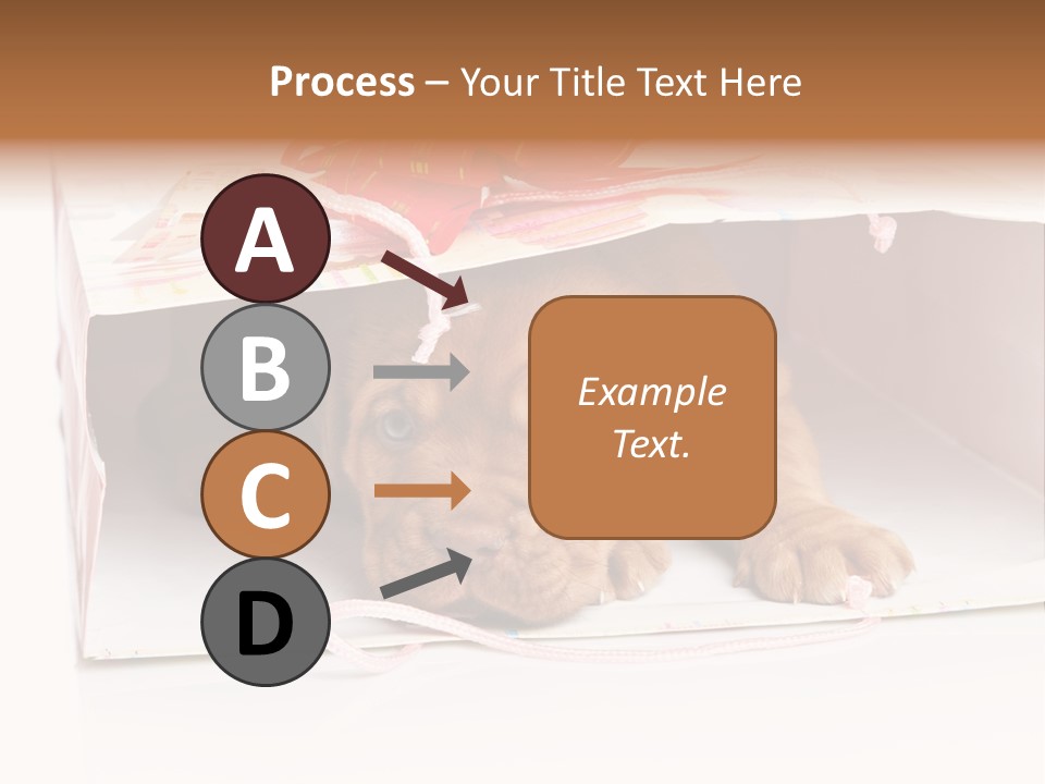 Bag Cute Canine PowerPoint Template