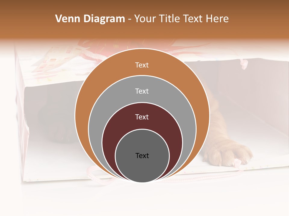 Bag Cute Canine PowerPoint Template