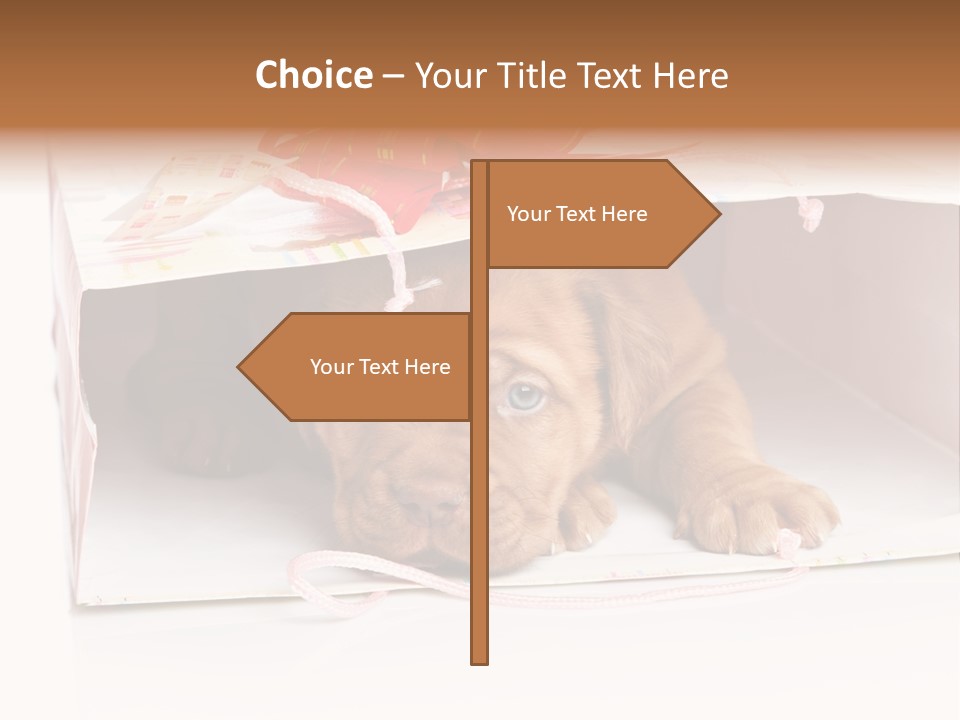 Bag Cute Canine PowerPoint Template