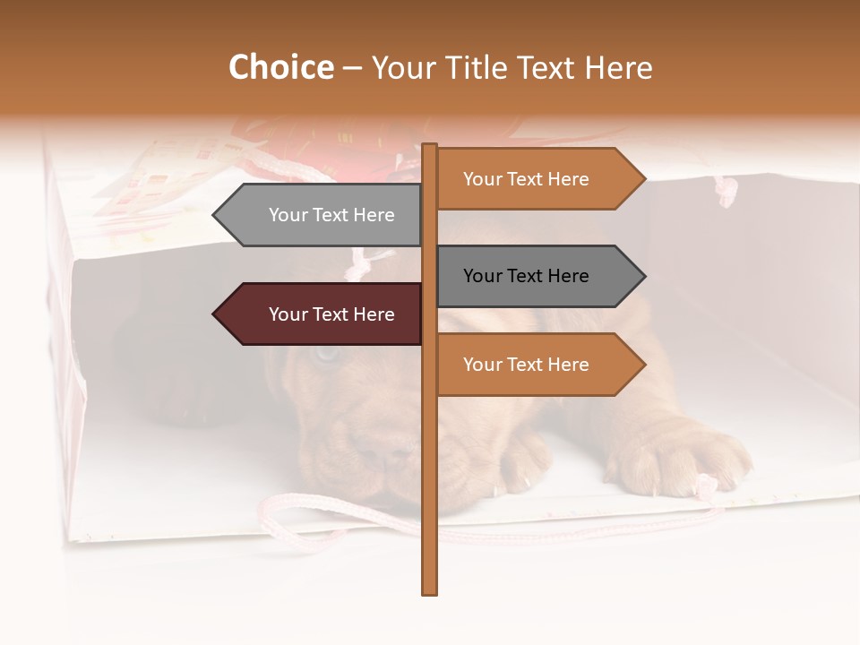 Bag Cute Canine PowerPoint Template