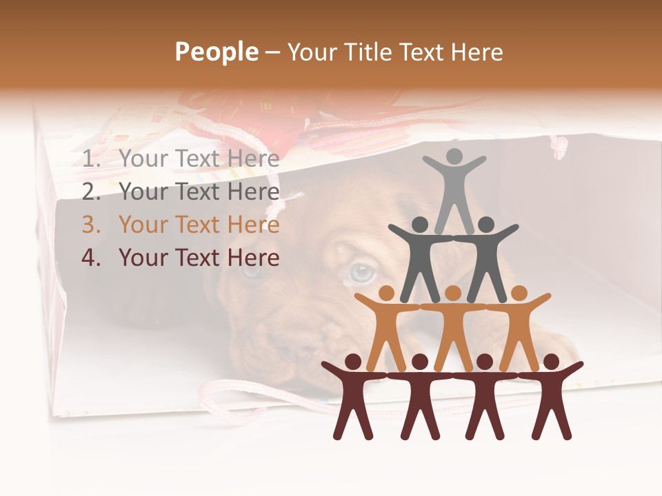 Bag Cute Canine PowerPoint Template