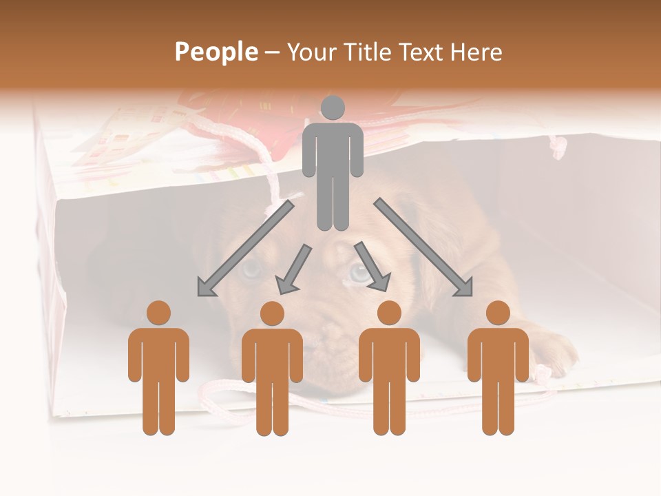 Bag Cute Canine PowerPoint Template