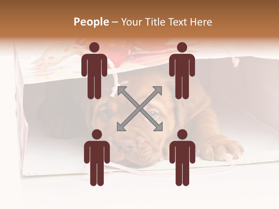 Bag Cute Canine PowerPoint Template