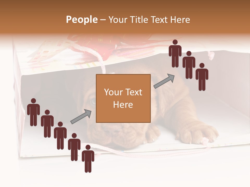 Bag Cute Canine PowerPoint Template