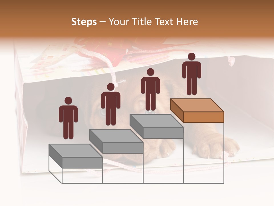 Bag Cute Canine PowerPoint Template