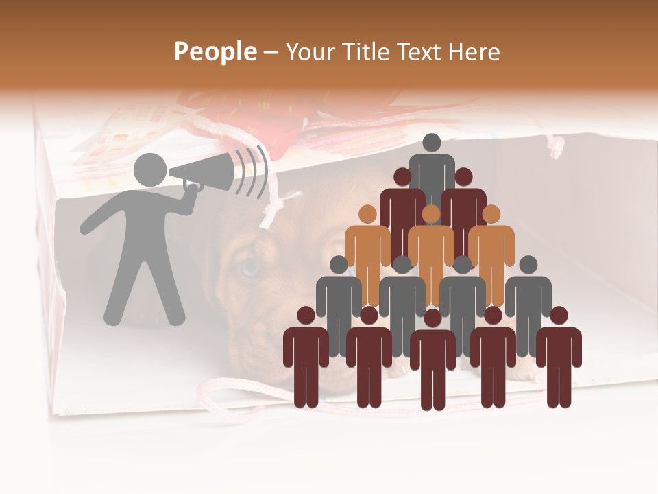 Bag Cute Canine PowerPoint Template