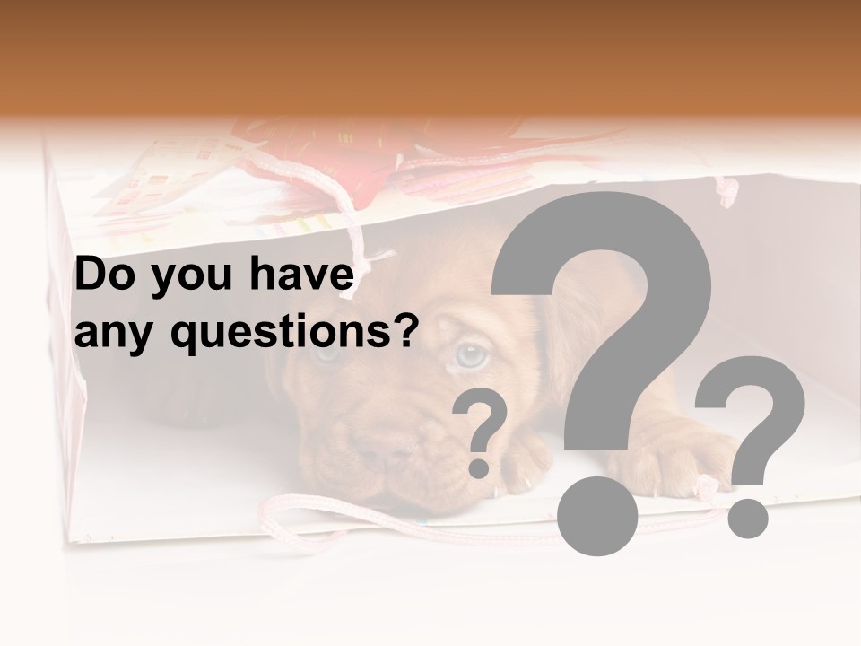 Bag Cute Canine PowerPoint Template