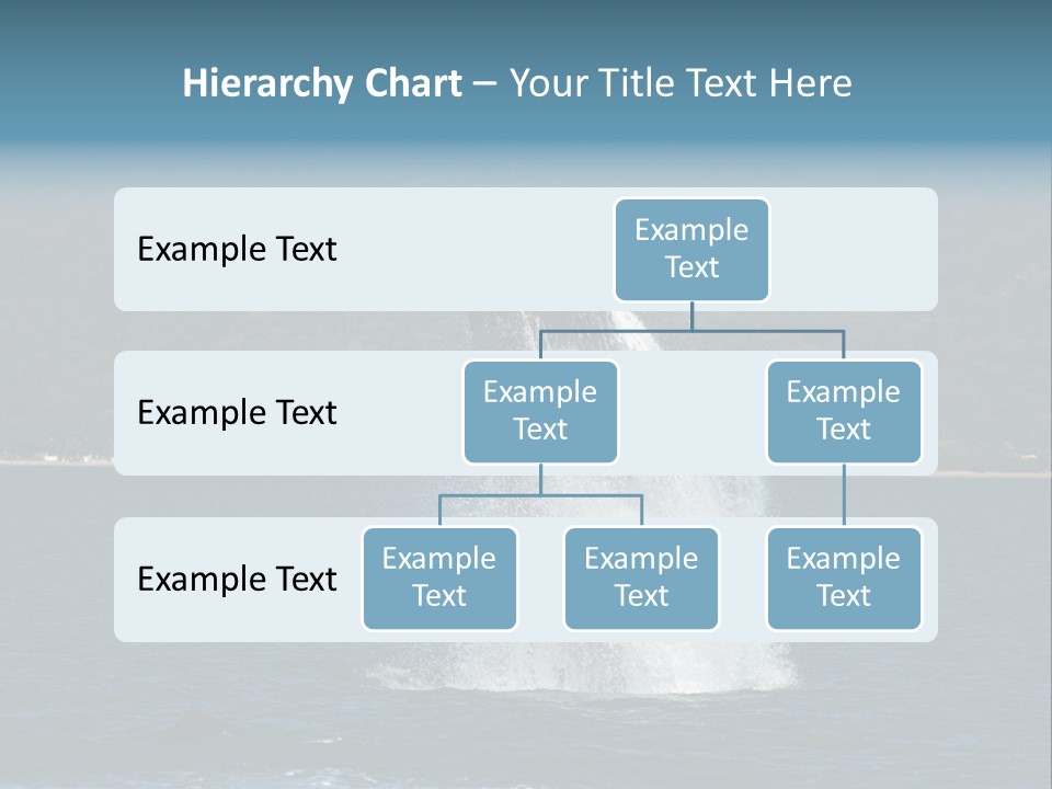 Vallarta Ocean Splach PowerPoint Template