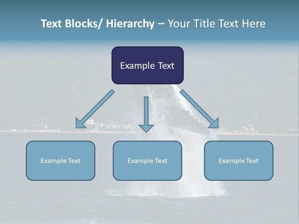 Vallarta Ocean Splach PowerPoint Template