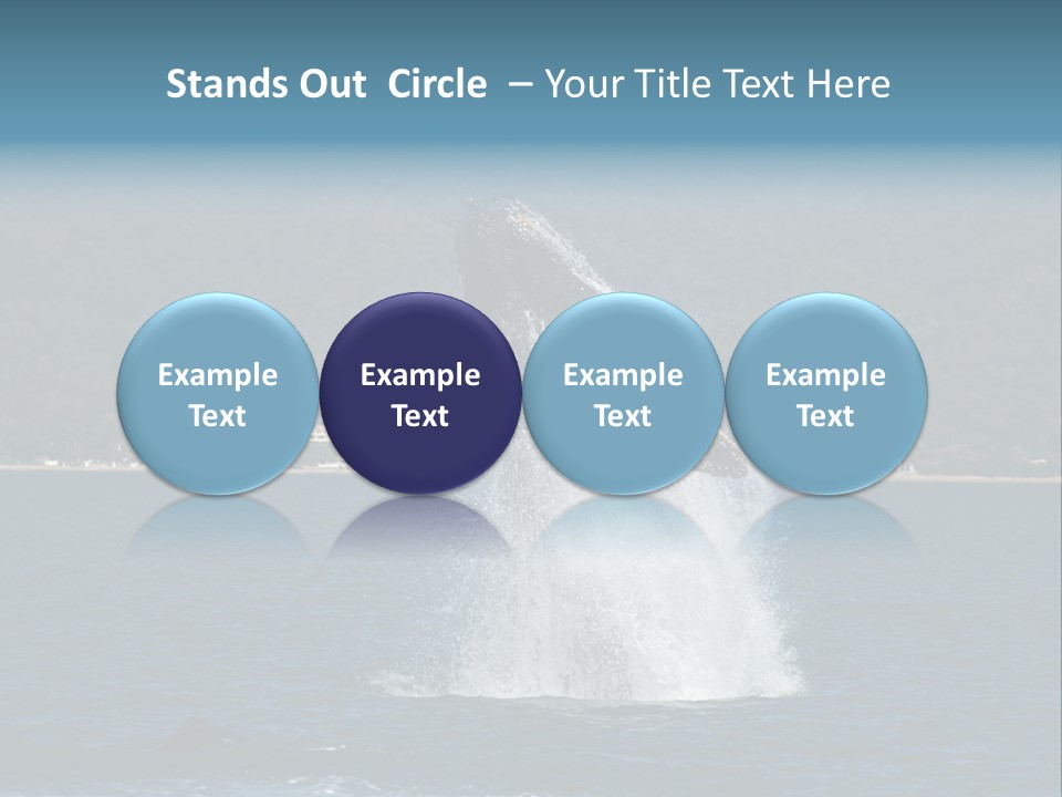 Vallarta Ocean Splach PowerPoint Template