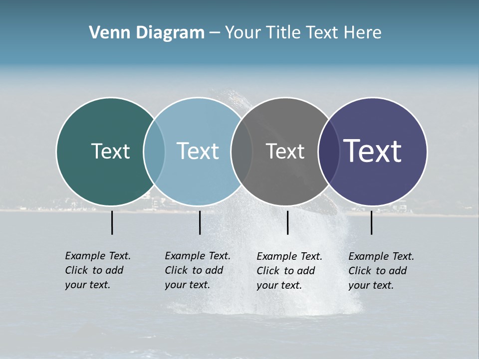 Vallarta Ocean Splach PowerPoint Template