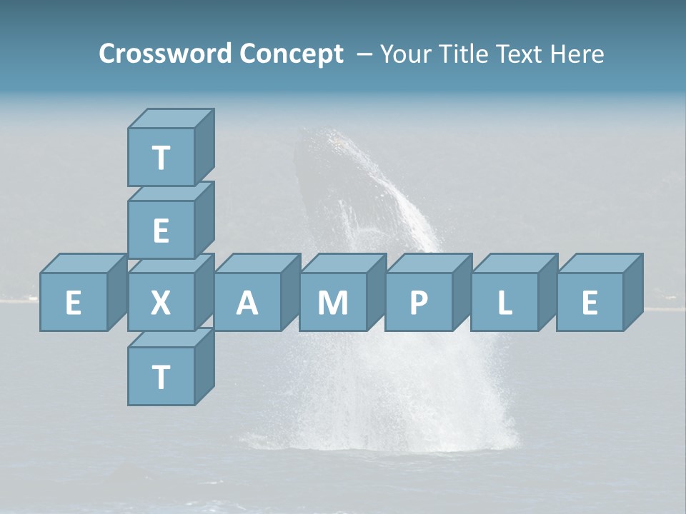 Vallarta Ocean Splach PowerPoint Template