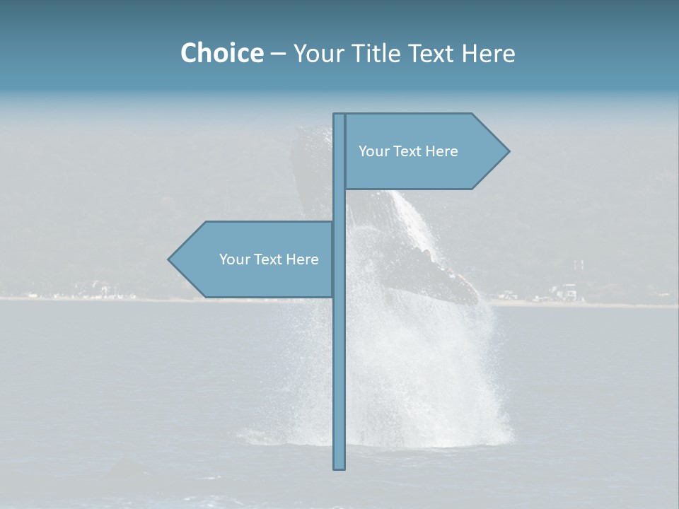 Vallarta Ocean Splach PowerPoint Template