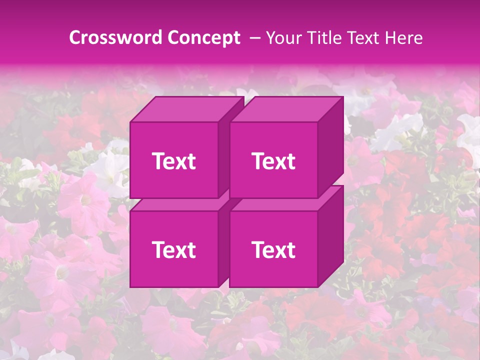 Purple Grow Spring PowerPoint Template