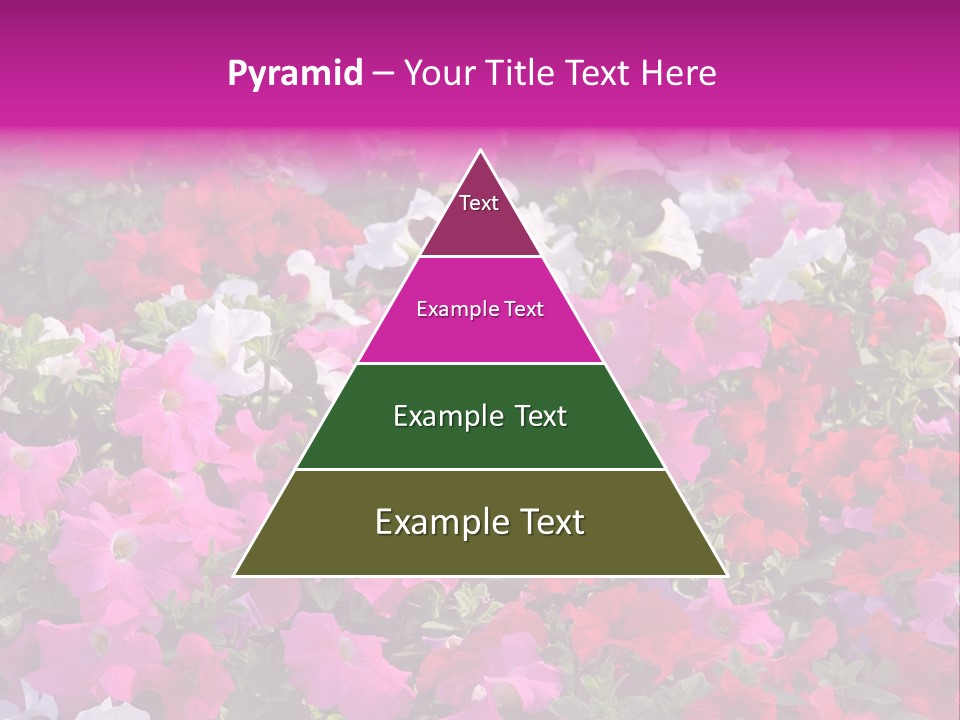 Purple Grow Spring PowerPoint Template