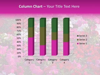 Purple Grow Spring PowerPoint Template