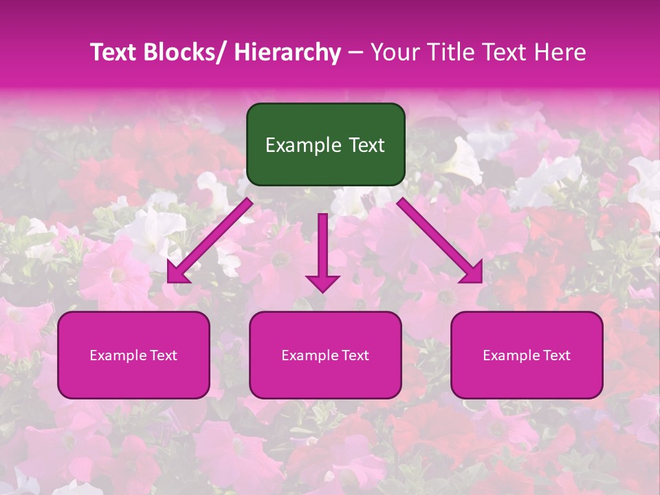 Purple Grow Spring PowerPoint Template