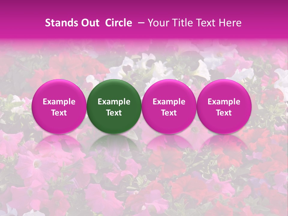 Purple Grow Spring PowerPoint Template