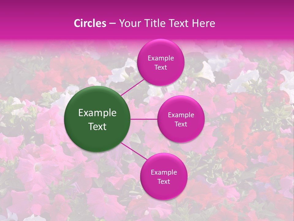 Purple Grow Spring PowerPoint Template